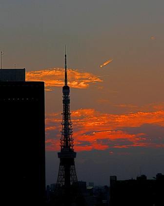 東京タワー12.JPG